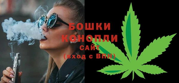 спайс Арсеньев